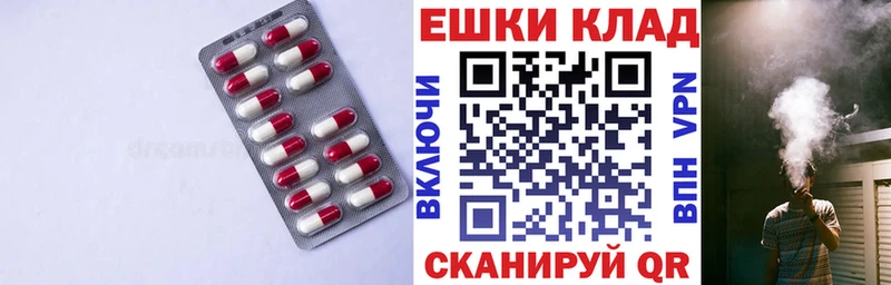 блэк спрут маркетплейс  Кадников  Ecstasy DUBAI 